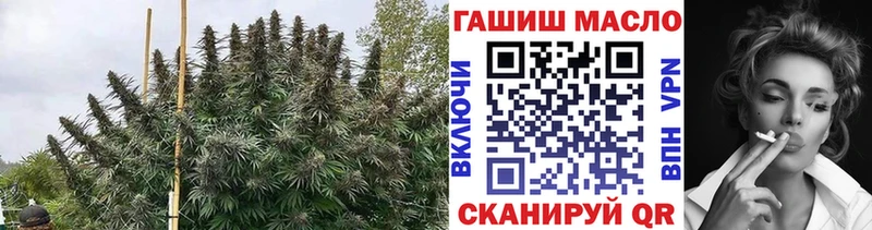 ТГК Wax Реж