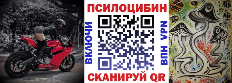 Псилоцибиновые грибы Cubensis  Реж 